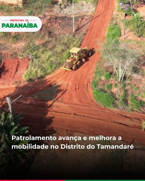 top-news